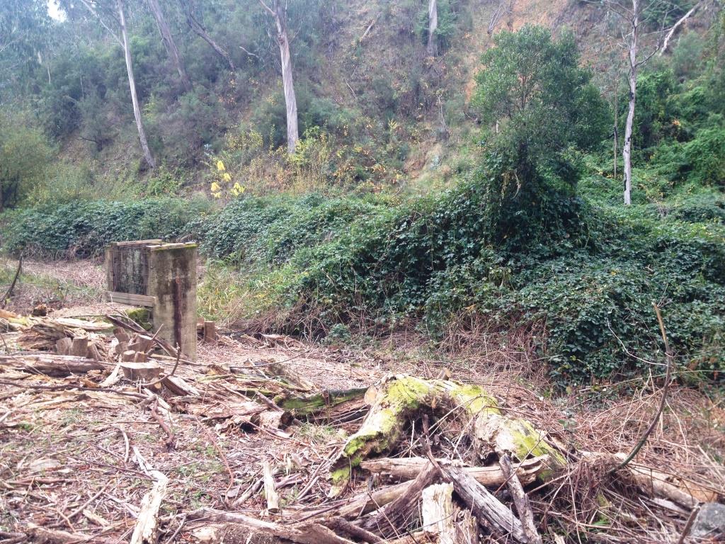 Blackberry works Kiewa River